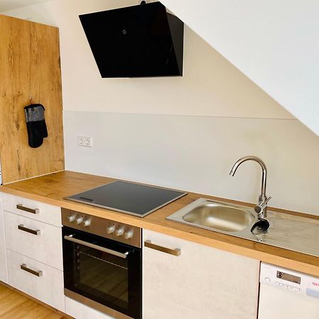 Stadtoase Geraeumige Gaestewohnungen Mit Balkon, Komfort, Modernitaet Und Ruhe, Fuer Monteure Geeignet, Free Wifi Frankenberg Extérieur photo
